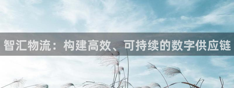 28圈加拿大能提现吗：智汇物流：构建