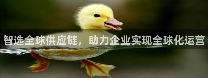 28圈麻将：智选全球供应链，助力企业
