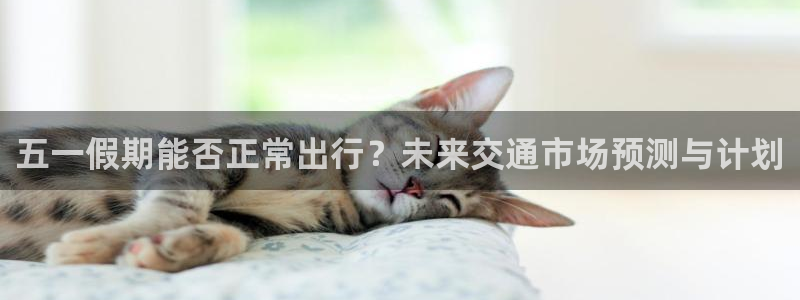28圈加拿大真假怎么看：五一假期能否