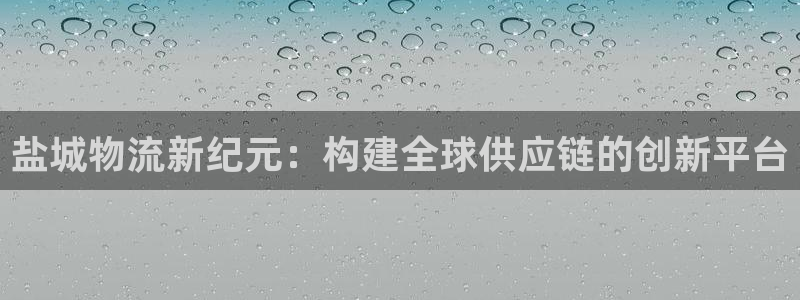 28圈现在狂杀：盐城物流新纪元：构建