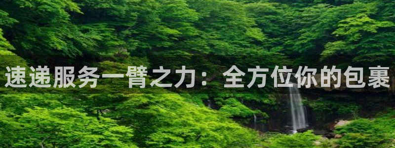 28圈流水怎么算：速递服务一臂之力：全方位你的包裹