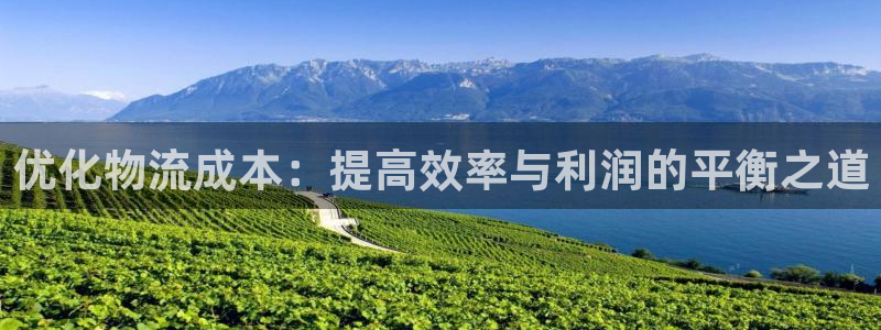 28圈游戏：优化物流成本：提高效率与