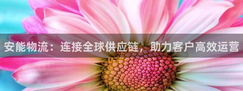 28圈充值不处理