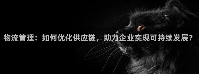 28圈电子游戏