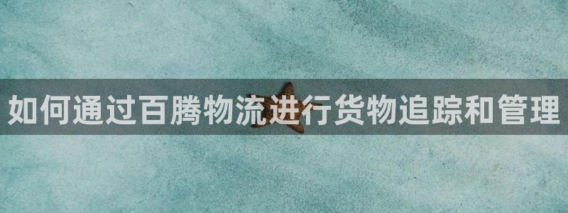 28圈官网多少
