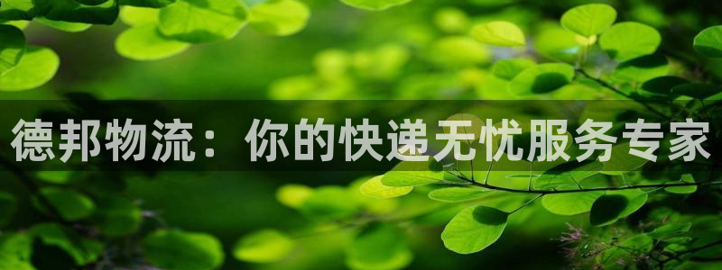 28圈.ccm南宫