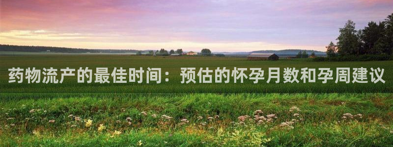 28圈加拿大