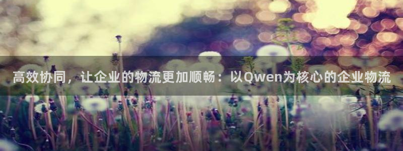 28圈加拿大pc预测：高效协同，让企业的物流更加顺畅：以Qw