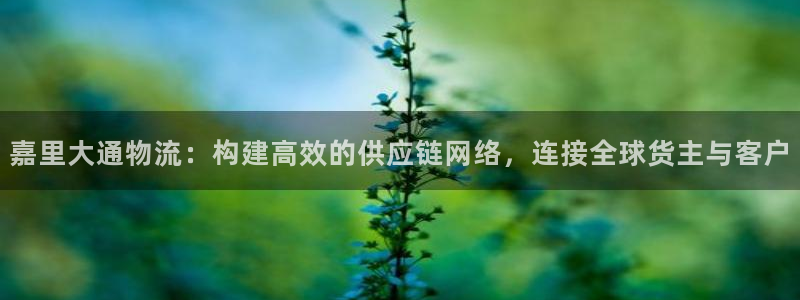 28圈是正规软件吗