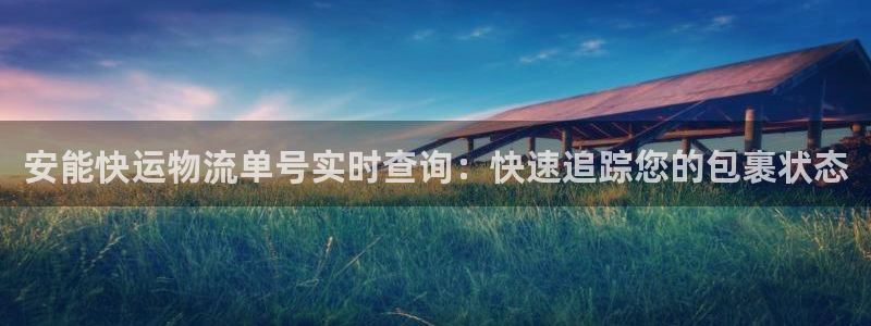 28圈登录用户名登录不上：安能快运物流单号实时查询：快速追踪